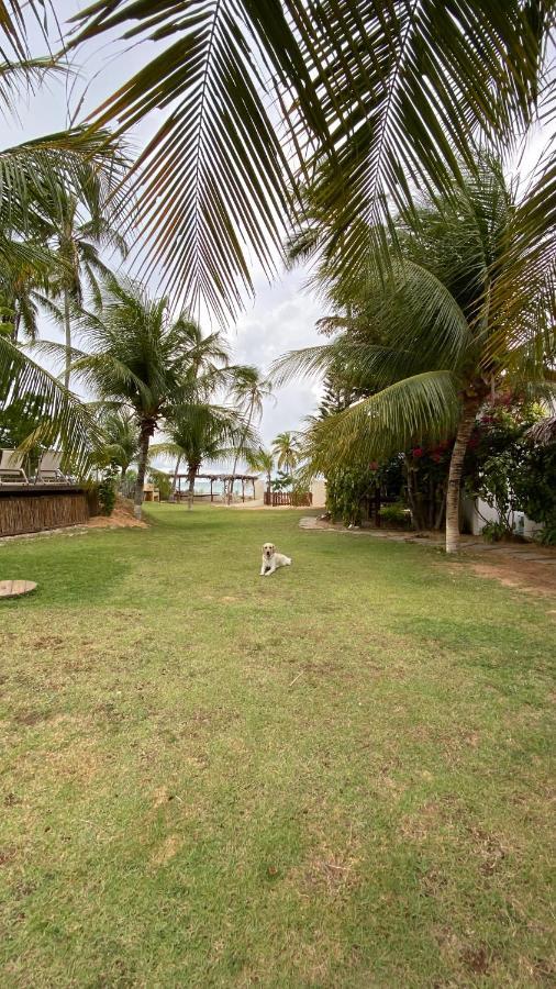 Villa Maui Icaraizinho Eksteriør bilde